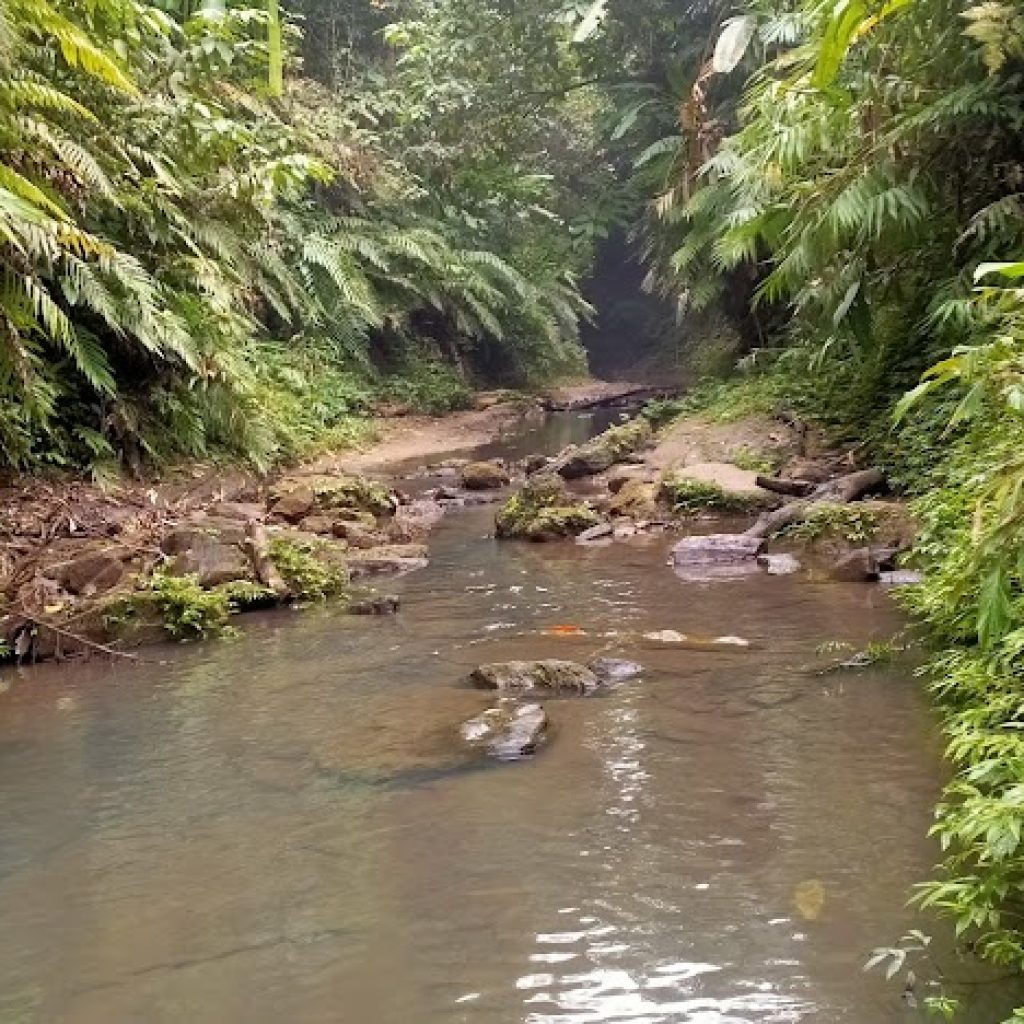 Sreemangal