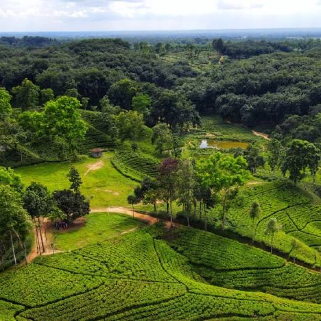 Sylhet
