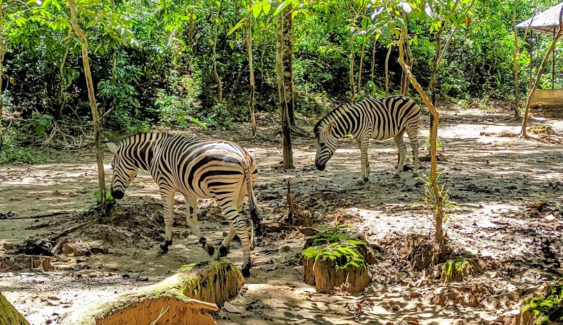 TILAGOR ECO PARK