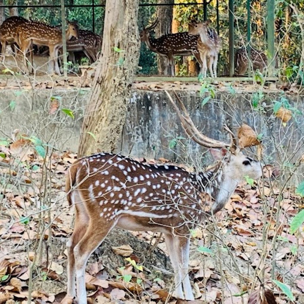 TILAGOR ECO PARK