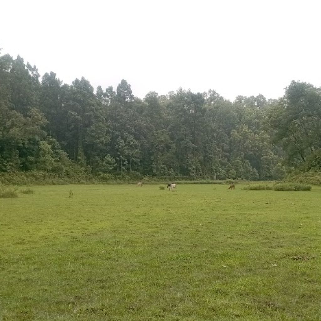 TILAGOR ECO PARK